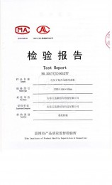 檢測(cè)報(bào)告2